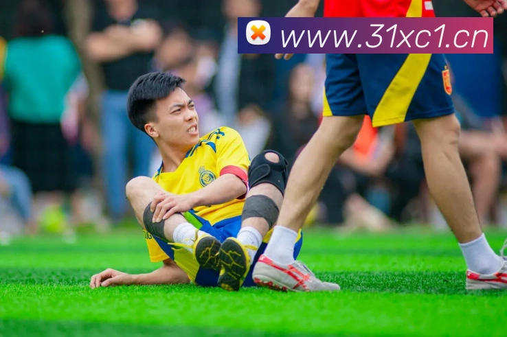 九游j9官网首页进入平台生态图